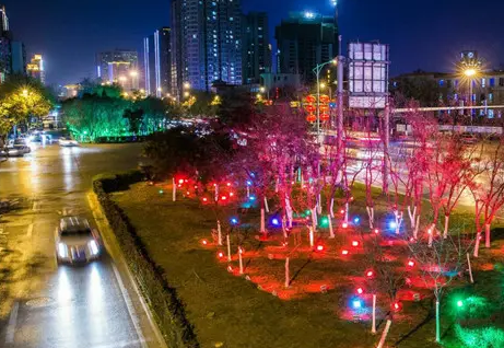 南充市政亮化大香蕉啪啪啪制作施工安装