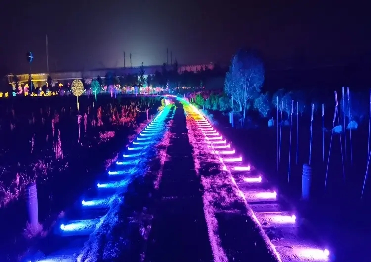 成都照明亮化大香蕉啪啪啪制作安装