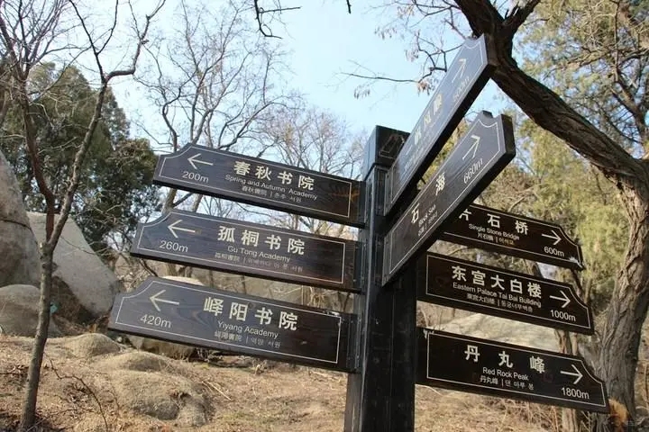 成都广告大香蕉啪啪啪标识牌广告制造的材料